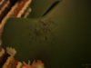 DSC03623.jpg