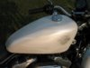 Pearl014sm.jpg