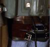 Girth_RuddyBrown.png