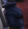 th_SenateGuard0003.jpg