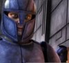 th_SenateGuard0014.jpg