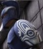 th_SenateGuard0020.jpg