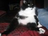 Picture 009.jpg