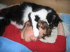 Picture 014.jpg