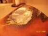 100_2334.JPG