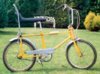 bike.jpg