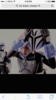 IMG_1086.PNG
