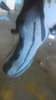 IMAG3579.jpg