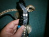 PC050011.JPG
