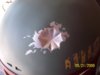 100_2835.JPG