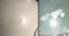 Screen Shot 2019-07-05 at 10.34.19 AM.png