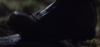 Screenshot_6.png