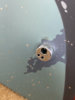IMG_0425 2.jpeg