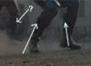 legs.png