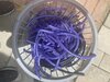 F0BECD93-734F-43CE-ADBD-15A509A46C14.jpeg