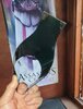 Visor.jpg