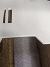 PXL_20201009_032830482.jpg