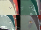 D24733F8-546C-4E1E-9DBB-802AA2E9AD1E.png