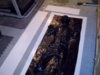DSC00004.jpg
