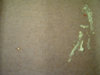DSC00108.jpg