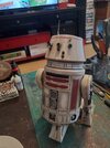 20200615_105825.jpg