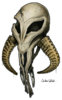 mandalorian_skull_fett.jpg