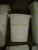 DSC00306.JPG