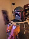 20221113_202636.jpg