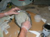 DSCF1331.JPG