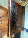 IMG_3540.jpeg IMG_3540.jpeg