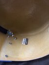 IMG_1320.jpeg