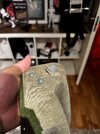 IMG_7476.jpeg