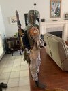 IMG_4258.jpeg
