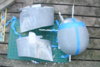 DSC03865.JPG