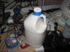 Picture 070.jpg