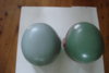 DSC03875.JPG