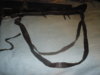 20110103-014.JPG