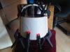 IMG00368-20110401-1348.jpg