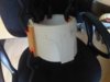IMG00366-20110401-1242.jpg