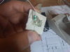 IMG00383-20110410-1702.jpg