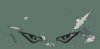 Eagle Eyes.jpg