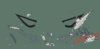 Final Eyes.jpg