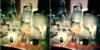 Color Correction.jpg