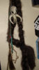 DSC01076.JPG
