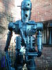JD300066.JPG