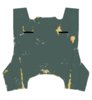 Back Plate.jpg