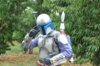 DSC_05412.jpg
