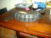 DSC00796.JPG