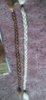 IMG-20111011-00516rs.jpg