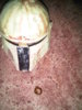 IMG-20111020-00584.jpg